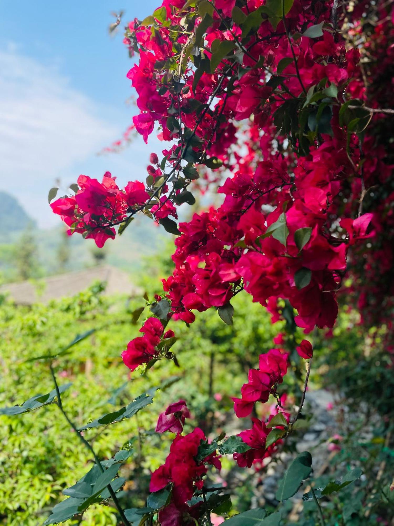 So H'Mong Homestay Bac Ha  Zewnętrze zdjęcie