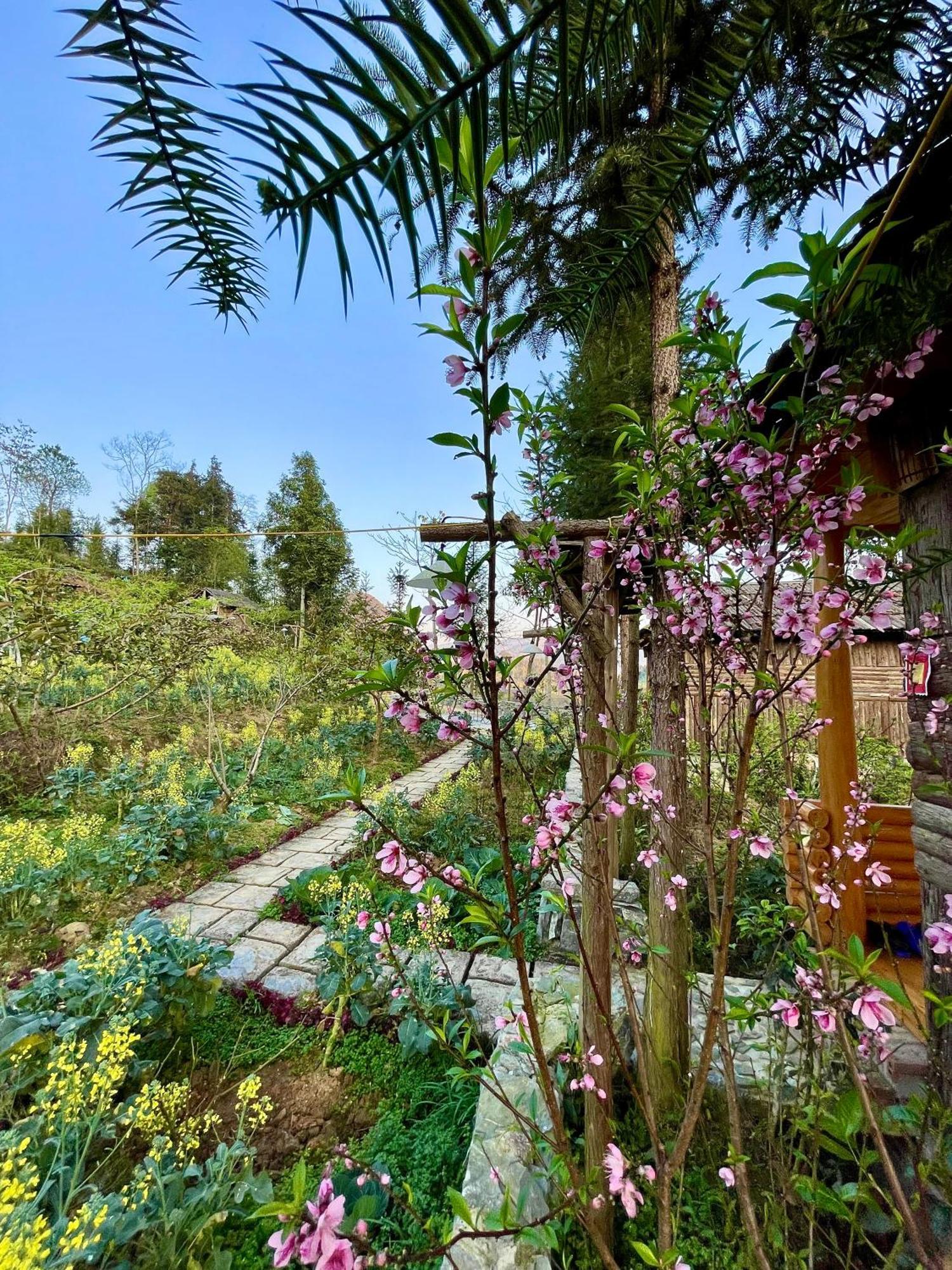 So H'Mong Homestay Bac Ha  Zewnętrze zdjęcie